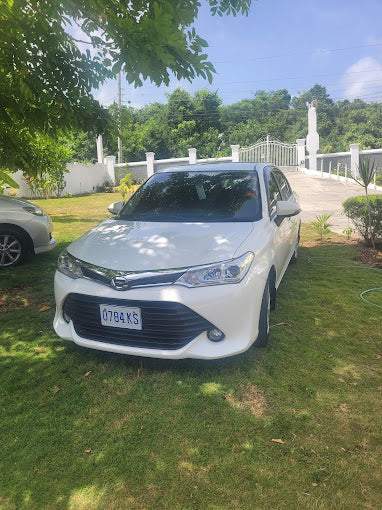 TOYOTA AXIO